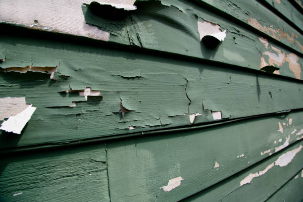 Best Storm Damage Siding Repair  in Highland Beach, FL